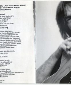 Mike Stern-3