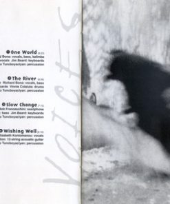 Mike Stern-4