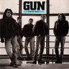 Gun (2)-0