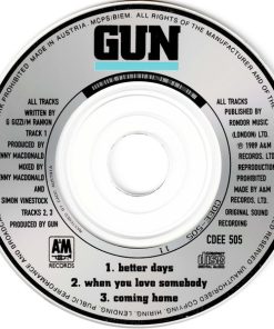 Gun (2)-2