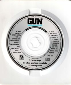 Gun (2)-4