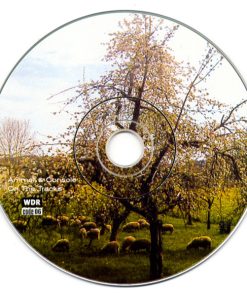 Ammer & Console-3
