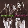 Tumbleweed (6)-0