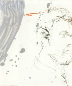 Glen Hansard-4