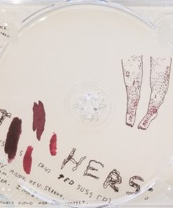 The Lovely Feathers-4