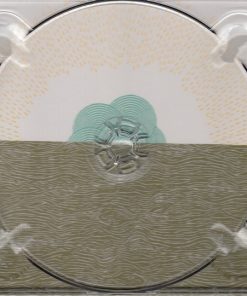 Mardeen-2