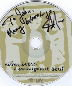 Eileen Ivers & Immigrant Soul-4