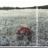 Melissa Etheridge-0