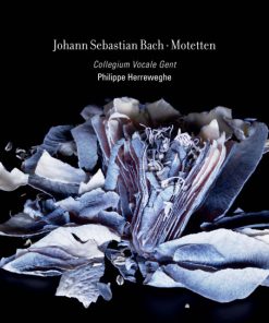 Johann Sebastian Bach, Collegium Vocale, Philippe Herreweghe-2