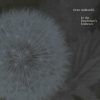 Oren Ambarchi-0