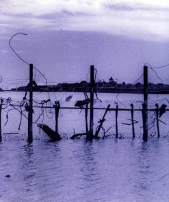 Various-0
