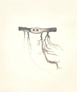José González-0