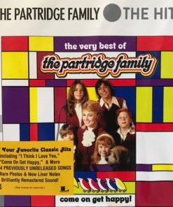 The Partridge Family-2