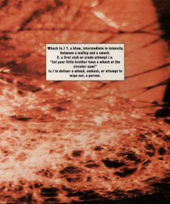 Walter Becker-3
