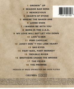 Bruce Springsteen-2