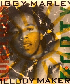 Ziggy Marley And The Melody Makers-0