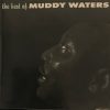 Muddy Waters-0