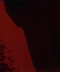 Michael Brecker-4