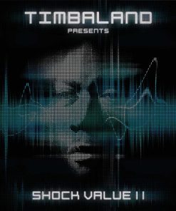 Timbaland-0