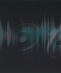 Timbaland-4