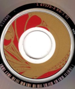 Stevie Nicks-3