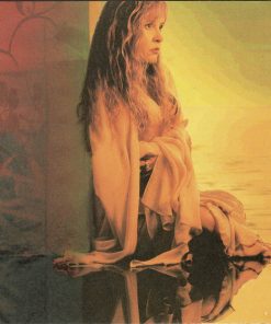 Stevie Nicks-4