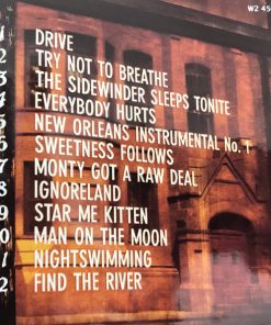 R.E.M.-1