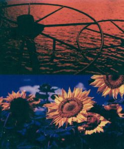 Cowboy Junkies-3