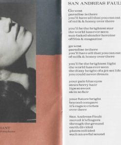 Natalie Merchant-3