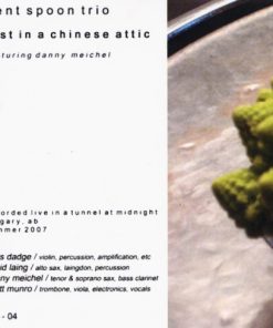Bent Spoon Trio Featuring Dan Meichel-1