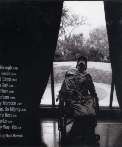 Vic Chesnutt-1
