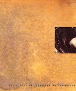 David Sylvian-2