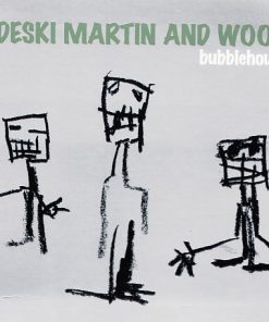 Medeski Martin & Wood-0