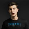 Shawn Mendes-0