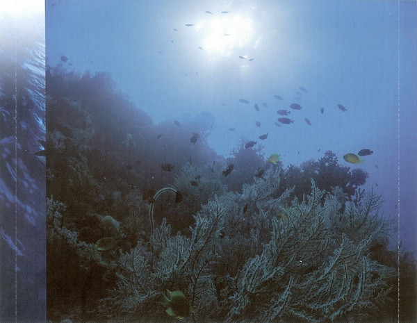 Dan Gibson-4