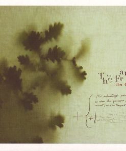 The Frames-0