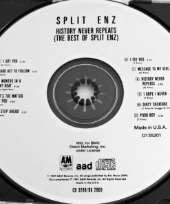 Split Enz-2