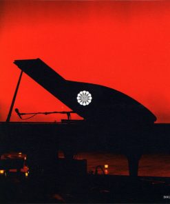 Rufus Wainwright-3