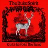The Duke Spirit-0
