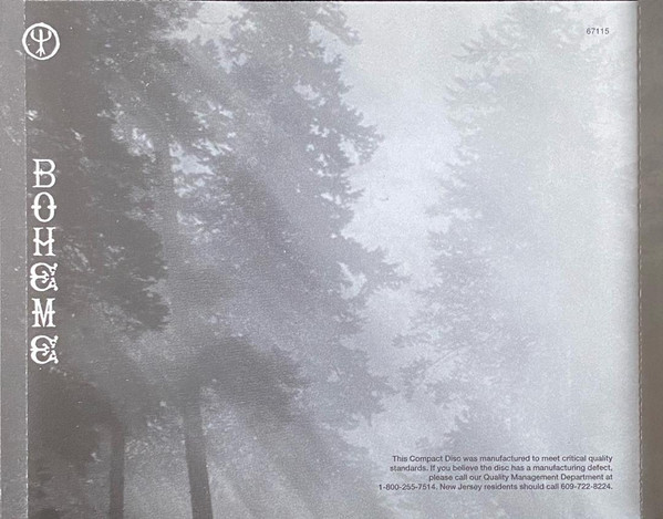 Deep Forest-4