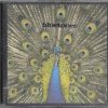The Bluetones-0