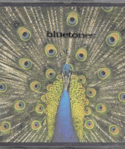 The Bluetones-0