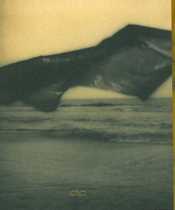 Cassandra Wilson-1
