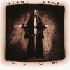 Giant Sand-0