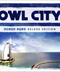 Owl City-1
