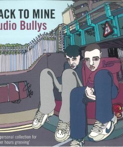 Audio Bullys-1