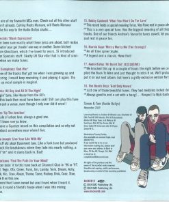 Audio Bullys-3