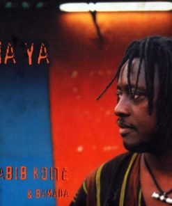 Habib Koité & Bamada-0