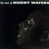 Muddy Waters-0