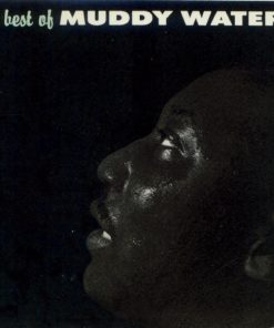 Muddy Waters-0
